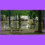 Flood 2.jpg